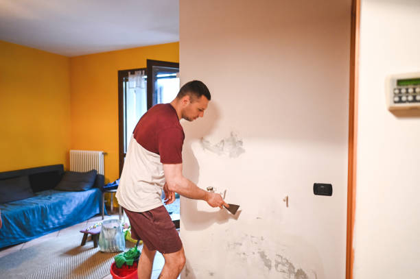 Best Residential Mold Removal  in Port Ewen, NY